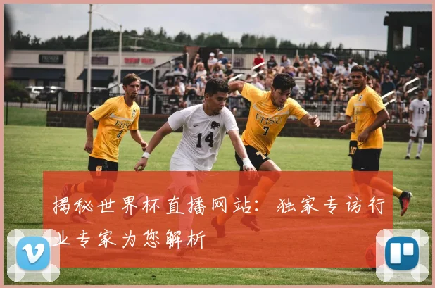 揭秘世界杯直播网站：独家专访行业专家为您解析