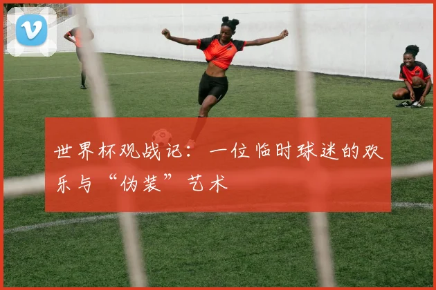世界杯观战记:一位临时球迷的欢乐与“伪装”艺术