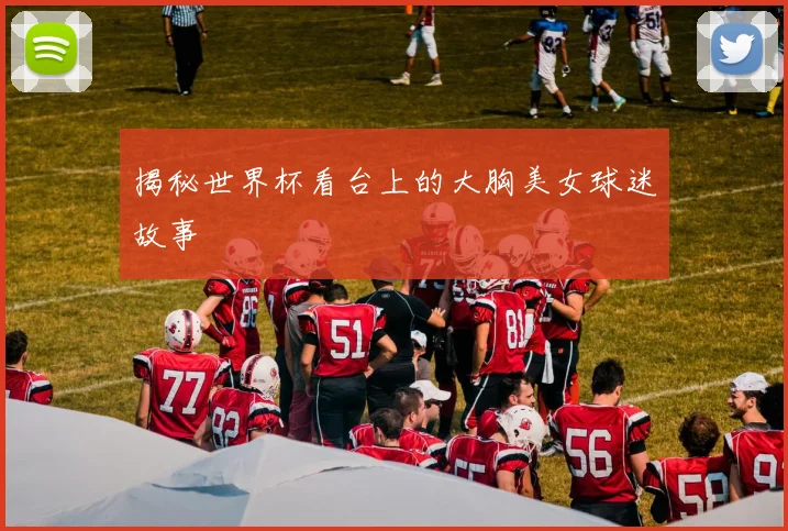 揭秘世界杯看台上的大胸美女球迷故事