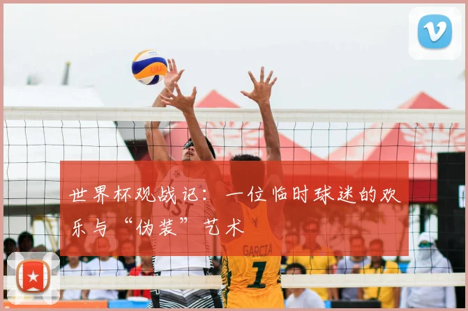 世界杯观战记:一位临时球迷的欢乐与“伪装”艺术